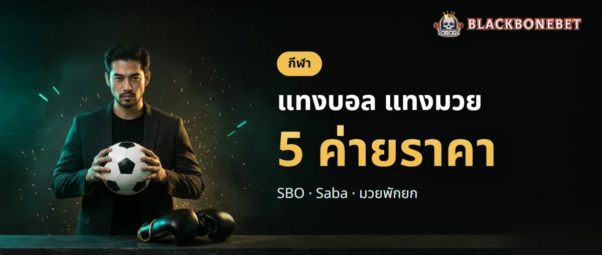 แทงบอลและแทงมวย BLACKBONEBET 5 ค่ายราคา แทงบอลและแทงมวย BLACKBONEBET 5 ค่ายราคา